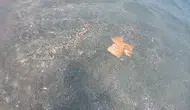 Antalya Kıyılarında Gizli Tehlike: Meltem Rüzgarları Mikroplastik Yağdırdı!