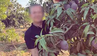 Canlı Yayından Gözaltına: Alanya'da Eşini Yaralayan Şüpheli Adliyede