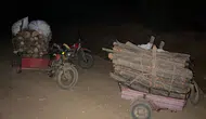 Hassa'da Ormanda Usulsüz Kesim Yapan Şahıslar Suçüstü Yakalandı