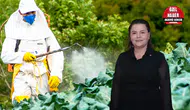 Tarımda En Çok Pestisit Kullanılan İl Olan Antalya İçin Uzmanından Açıklama