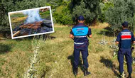 Antalya’da Yangın Tehlikesi: Yasaklara Rağmen Mangal Yaktılar