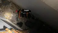Hatay'da Farklı Noktalarda Mahsur Kalan Hayvanlar Güvenli Yaşam Alanlarına Kavuştu