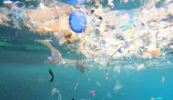 Sahilleri Boğan Plastik Atık Krizi İçin Antalya'da Acil Koordinasyon Toplantısı