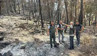 Kumluca'daki Yangın Bölgesinde Üst Düzey İnceleme!