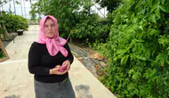 Çatıda Başlayan Hayal Manavgat'ta Tropikal Müze Oldu