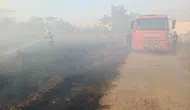 Hatay'da Zeytinlik Yangını: Evlere Sıçramadan Söndürüldü