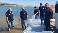 Burdur Göletlerine Can Suyu: Binlerce Yavru Sazan Sularla Buluştu!
