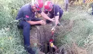 Kuyudan Çıkarılan İneğine Kavuşan Kadın Gözyaşı Döktü