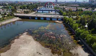 Baraj Kapakları Kapandı: Seyhan Nehri Çöp Yuvasına Dönüştü