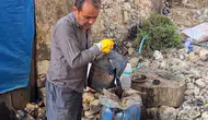 Kaş'ta Bin Yıllık Şifa Tarifi: Sedir Katranın Kilosu 1000 Lira
