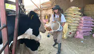 Burdur'da Babasının Yükünü Alan Genç Kadın Örnek Oluyor