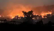 "O Ağaçlara Evlatlarımdan Fazla Önem Vermiştim": Kaş'taki Yangının Bilançosu