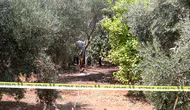 Antalya'da Dehşet! Elleri Bağlı Genç Zeytinlikte Ölü Bulundu