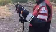 Yerleşim Yerlerine İnen Yılanlar İtfaiye Ekiplerince Doğaya Salındı!