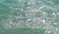 Kemer Karaburun Sahili'ni Plastik Atıklar Vurdu!