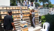 Büyükşehir'den Arıcılara Destek! 2026'da 4 Bin 50 Kovan Hibe Edildi