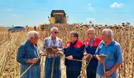Mersin'de Tarım Mesaisi: Tarsus'ta Ayçiçeği Tarlaları İncendi