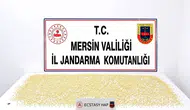 Yenişehir'de Uyuşturucu Operasyonunda 3 Bin 760 Hap Bulundu