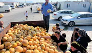 3 Ton Kavun 5 Dakikada Bitti: Hataylı Çiftçiden Konteyner Kentte İyilik Hareketi