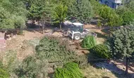 Taziye Evi İçin Çam Ağaçları Söküldü! Depremzedeler İsyan Etti