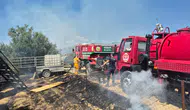 Seleukeia Antik Kenti Yakınında Yangın: Zeytinlik Alan Zarar Gördü