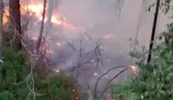 Alanya'da Ormanlık Alana Yıldırım Düştü: 1 Dönüm Yer Zarar Gördü