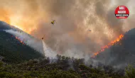 Alanya, Kumluca ve Kaş Yangınlarının Bilançosuna Ulaşıldı