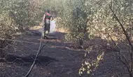 Dörtyol'da Bahçe Yangını Büyümeden Kontrol Altına Alındı