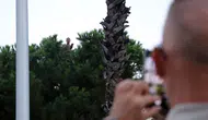 Antalya'da Ağaca Tırmanan Borçlu Adam Pet Şişe Suyla İkna Edildi