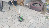 Hatay'da Yerleşim Yerlerinde Görülen Yılanlar Doğaya Salındı