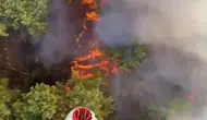 Aksu'da Korkutan Orman Yangını! Ekipler Alevleri Çember Altına Almaya Çalışıyor