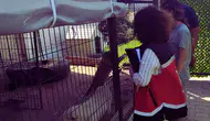 Antalya'da Sıkı Denetim: Hayvan Sağlığı ve İşletmeler Kontrol Edildi