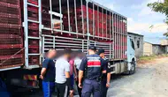 Antalya Dahil 81 İlde İnsan Kaçakçılığı Baskınları: 19 Organizatör ve 230 Düzensiz Göçmen Yakalandı