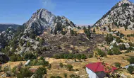 Alanya'nın 2 Yaylasında Çıkan Ziraat Yangınları Ormana Sıçradı