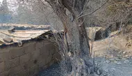 Adana Kozan’daki Yangın Felaketinden Geriye Kalanlar!
