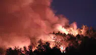 Orman Yangını Mahallelere Sıçradı! Kumluca'da Korku Dolu Gece