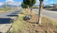 Gazipaşa'da Motosiklet Refüje Devrildi: Sürücünün Durumu Ciddi