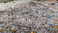 41 Günde 3 bin 306 Ton Plastik Atık Toplandı! İthalatın Yüzde 3,2'sine Yaklaşabildi