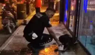 Samandağ'da Silahla Vurulan Sokak Köpeğine Polis Şefkati