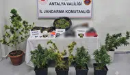 Serik ve Alanya'da 22 Adrese Uyuşturucu Operasyonu: Kilo Kilo Madde Ele Geçirildi