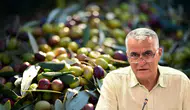 Antalya'da Zeytin Rekoltesi 70 Bin Tona Ulaşacak! Üretici Taban Fiyat İstiyor
