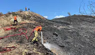 Alanya'da Orman Yangını: 10 Dönüm ve 1 Sera Zarar Gördü
