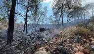Kemer Çamyuva'da Orman Yangını Çıktı