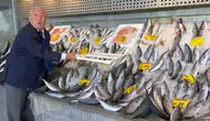 Tezgahlarda Balık Bolluğu Palamut 100, Hamsi 200 TL