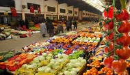 Antalya Hali’nde Bir İlk: Domateste "Çift Fiyat" Dönemi Başladı!
