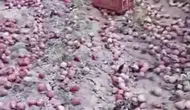 Antalya'da Elma Üreticisinden İsyan! "Pazarda 70 TL, Bahçede 5 TL"