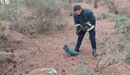 Manavgat'ta Merdiven Altından 2 Metrelik Kara Yılan Çıktı