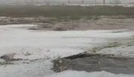 Hatay'ın Arsuz İlçesinde Sürpriz Dolu Yağışı Çevreyi Beyaza Bürüdü