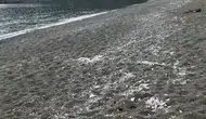 Kaş'tan Sonra Kemer Maden Koyu Mikroplastikle Kaplandı! Akdeniz'de Çevre Felaketi Büyüyor