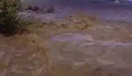 Demre'de 15 Gün Sonra Aynı Kabus! Dereler Taştı, Seralar Sular Altında